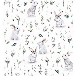 Coton lapin prairie